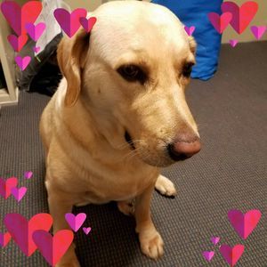 Meet your Posher, Barbara